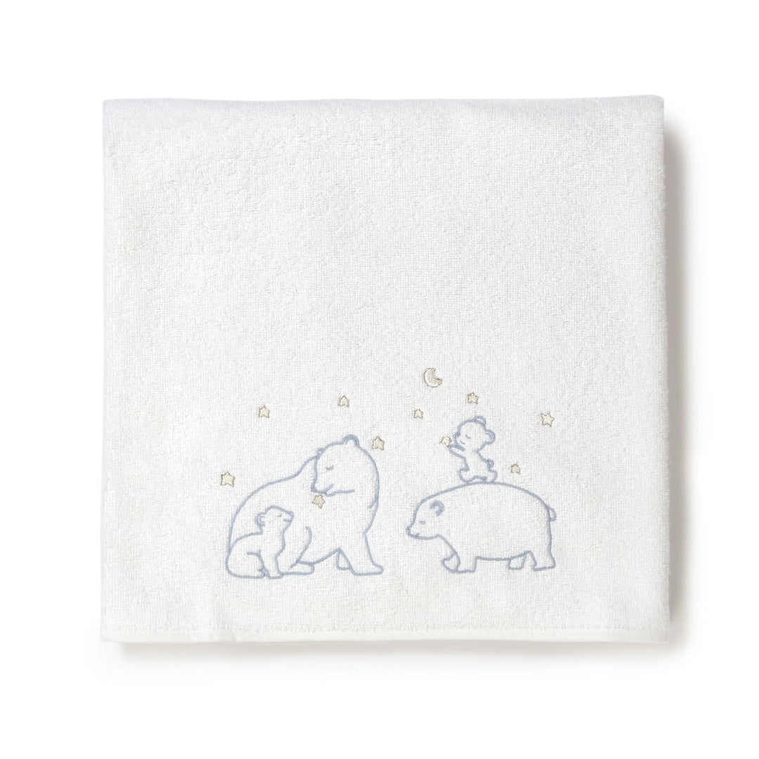 Teddy Bear Bath Sheet